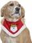 Küçük Orta ve Büyük Irk Köpekler Için Santa Bandana 1
