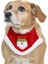 Küçük Orta ve Büyük Irk Köpekler Için Santa Bandana 2
