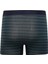 Regular Fit Çizgili 3'lü Boxer E2916AX25SP 3