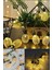 2m 10 LED Pilli 2 Kademeli Ananas LED Işık 1