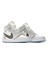 Jordan 1 Retro High Dior AJ005 1