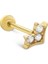 Tasarım Piercing 1
