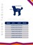 Basic Köpek Baskılı Sweatshirt Dogs Wasted Içi Polarlı Kıyafet 3
