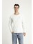 Bisiklet Yaka Slim Fit Dar Kesim Pamuklu Sweatshirt 3