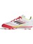 Beyaz Unisex Çocuk Krampon F50 CLUB FG/MG J IE1309 2