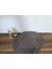 6 Ad.koyu Vizon Oval Servis (30X40) 4