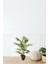 Yapay Ağaç Bambu 110 cm 1