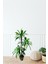 Yapay Ağaç 3lü Yucca 110 CM 3