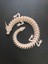 3D Dragon Modeli 1