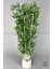 Yapay Bambu Ağacı 140 cm Krem Gümüş Metal Saksıda 2