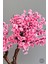 Bonzai Gövdeli Pembe Sakura Ağacı 100 cm Dış Mekana Uygun 5