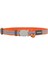 Reddingo Fang It Desenli Kedi Boyun Tasması 12MM / 20-32 cm - Petshopundan 1