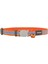 Reddingo Fang It Desenli Kedi Boyun Tasması 12MM / 20-32 cm - Petshopundan 2