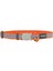 Reddingo Fang It Desenli Kedi Boyun Tasması 12MM / 20-32 cm - Petshopundan 4