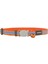 Reddingo Fang It Desenli Kedi Boyun Tasması 12MM / 20-32 cm - Petshopundan 5