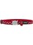 Reddingo Yıldız Desenli Kedi Boyun Tasması 12MM / 20-32 cm - Petshopundan 1
