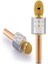 Bluetooth Karaoke Mikrofon Gold 1