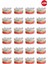 Shinycat Broth (Sos Içinde) Somon Balıklı Kedi Konservesi 70gr x 24 Adet 1