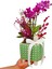 Green Dot Phalaenopsis & Yeşil Puantiyeli Beton Saksıda İç Mekan Bitkileri Hediye Orkide Çiçeği 2