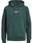 Jack&jones Jprbluarchie Sweat Hood Noos 6