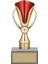 Kişiye Özel Başarı Kupası-Futbol Kupası-Tören Kupası-Okul Kupası-Birincilik Kupası-Şampiyonluk Kupası-Turnuva Kupası 24 cm 1