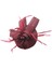 Fascinator Ş Bandı Bayanlar Günü Çay Partisi Düğün Saç I Ş Kırmızı (Yurt Dışından) 1