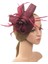 Fascinator Ş Bandı Bayanlar Günü Çay Partisi Düğün Saç I Ş Kırmızı (Yurt Dışından) 2