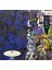 David Bowie – Tonight LP Plak 2