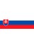 Cupcraft Slovakya Bayrağı Baskılı Kupa Bardağı 2