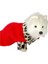 Eastland Köpek Elbisesi Leopar L 2
