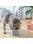 Aee® Kedi Köpek Hap Ilaç Yutturma Aparatı 4