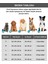 Legend Lüks Kedi/Köpek Yatağı, Sertifikalı Peluş Kumaş, Kaymaz Altlık 3