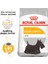 Mini Dermacomfort Yetişkin Köpek Maması 3 Kg 2