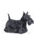 Mini Dermacomfort Yetişkin Köpek Maması 3 Kg 3