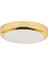 Luce 20W Ledli Tavan Armatürü Beyaz Işık Gold Kasa E1212/GL 1