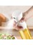 Kısmet Yemeklik Yağ Spreyi Airfryer Yağdanlık Zeytinyağı ve Limon Yağı Sprey Şişesi Sosluk 1