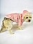 Pink Comfie Köpek Montu Köpek Ceketi Köpek Dış Giyim 3