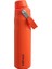 The Aerolight Iceflow Su Matarası Fast Flow 0.6 L Tigerlily 1