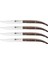 Steak Biftek Bıçağı Seti 4 Parça Dark Oad Wood 1