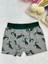 Minykids Dinozor Desenli Boxer 1