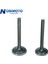 Motosiklet Fit Lifan Motor Parçası Bisiklet Yatay Motor Emme Vanası Lifan Atv Motosiklet GT-105 Için Egzoz Valfi (Yurt Dışından) 1