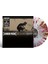 Linkin Park - Meteora LP Plak 1