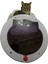Blackcap Pati XXL Kedi Kapısı / Beyaz /Füme Camlı 3