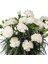 Nadir Kokulu Sweet Pleasure White Karanfil Çiçeği Fidesi (2 Adet) 1