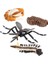 Çocuk Böcek Sivrisinek Büyüme Modeli Playset Öğrenme Biyoloji Oyuncaklar Temalı Parti (Yurt Dışından) 1