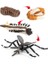 Çocuk Böcek Sivrisinek Büyüme Modeli Playset Öğrenme Biyoloji Oyuncaklar Temalı Parti (Yurt Dışından) 4
