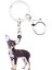 Kadın Kızlar Çanta Araba Anahtar Cıvata Anahtarlık Hayvan Takılar Akrilik Sevimli Chihuahua Köpek Anahtarlık Yüzük Anahtarlıklar Pet leri (Yurt Dışından) 1