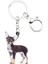 Kadın Kızlar Çanta Araba Anahtar Cıvata Anahtarlık Hayvan Takılar Akrilik Sevimli Chihuahua Köpek Anahtarlık Yüzük Anahtarlıklar Pet leri (Yurt Dışından) 2