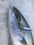 Metal Adict 01 58 mm 18 gr Jig Yem 3