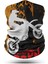 Motorcu Boyunlugu Unisex Bandana Motosiklet Bandana Boyunluk Kadın Erkek Boyunluk Headwear BDK210 2
